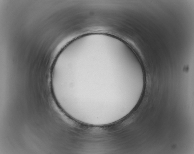 X0000113151424200910021452