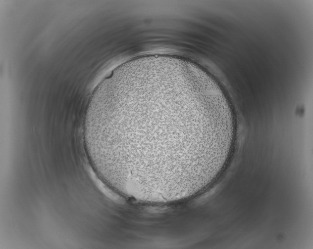 X0000113151425200910021452