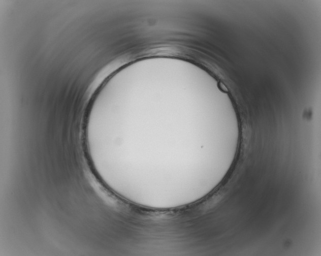 X0000113151426200910021452