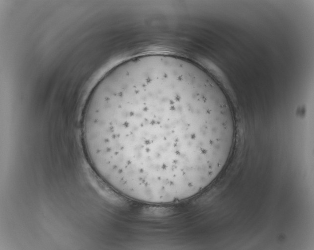 X0000113151427200910021452