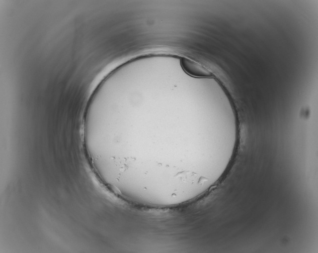 X0000113151428200910021452