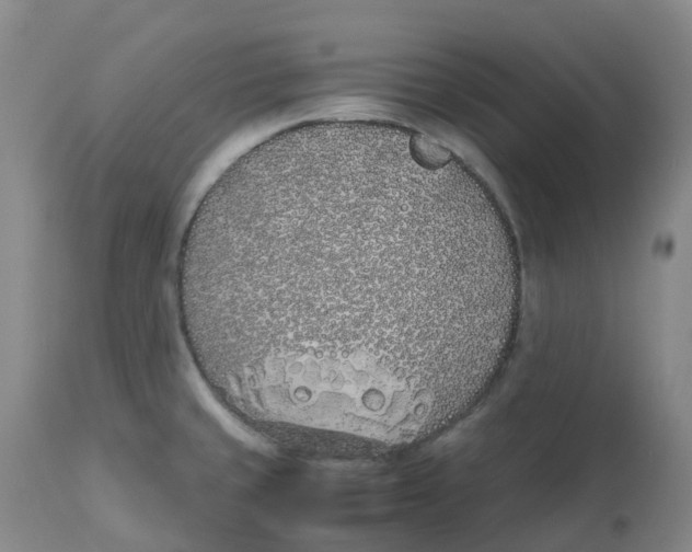 X0000113151429200910021452