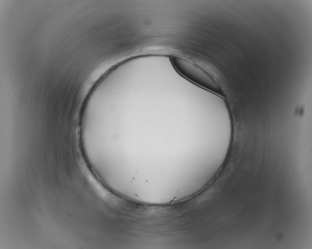 X0000113151430200910021452