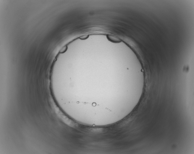 X0000113151431200910021452