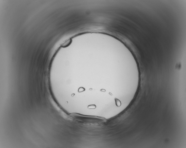 X0000113151432200910021452