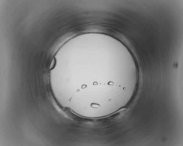 X0000113151433200910021452