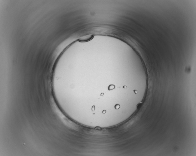 X0000113151434200910021452