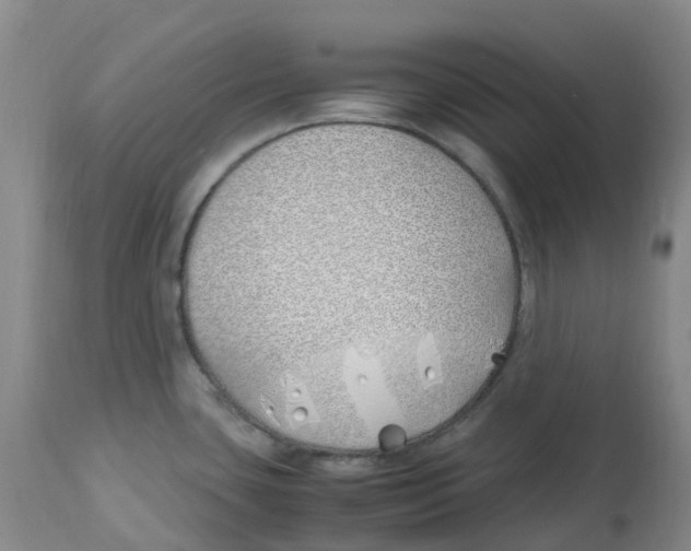 X0000113151435200910021452