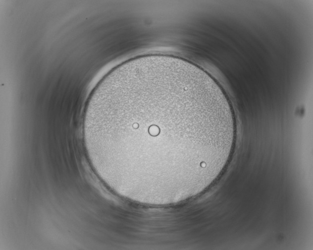 X0000113151436200910021452