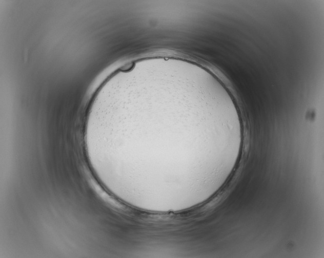 X0000113151438200910021452