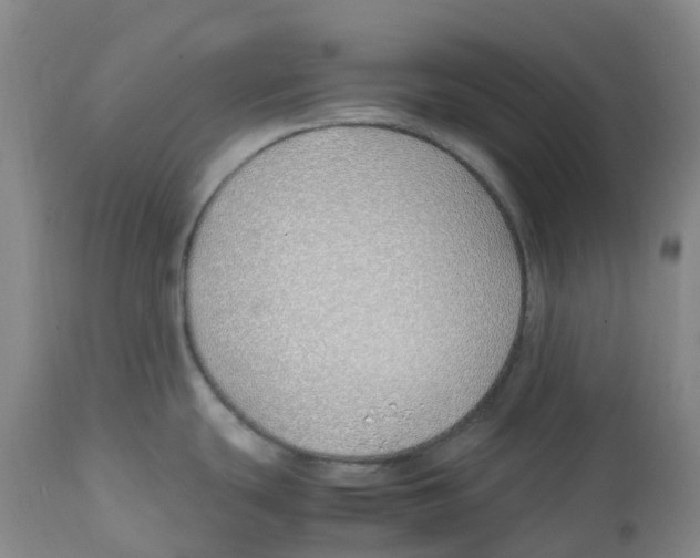 X0000113151439200910021452