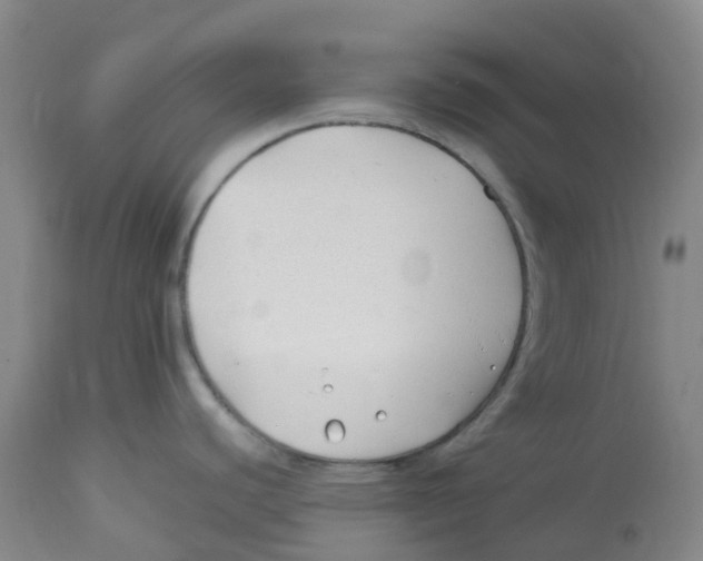 X0000113151440200910021452