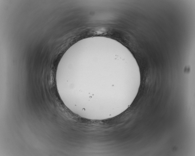 X0000113151442200910021452