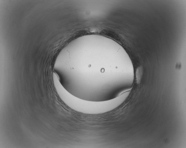 X0000113151443200910021452