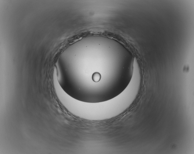 X0000113151445200910021452