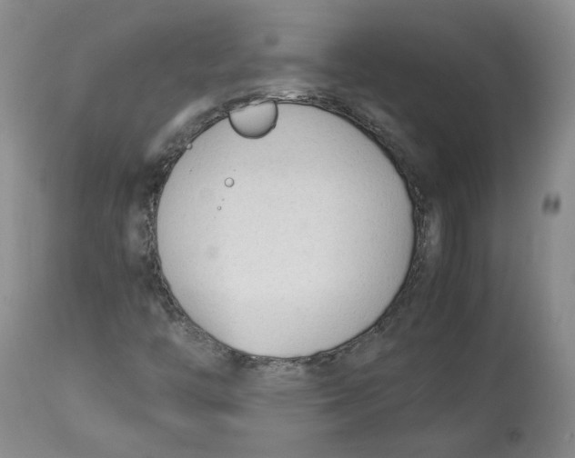 X0000113151446200910021452