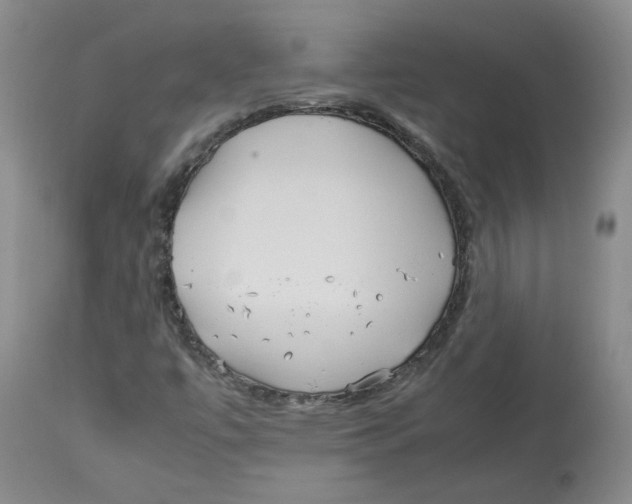 X0000113151447200910021452