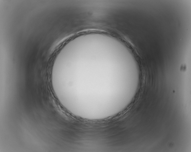 X0000113151448200910021452