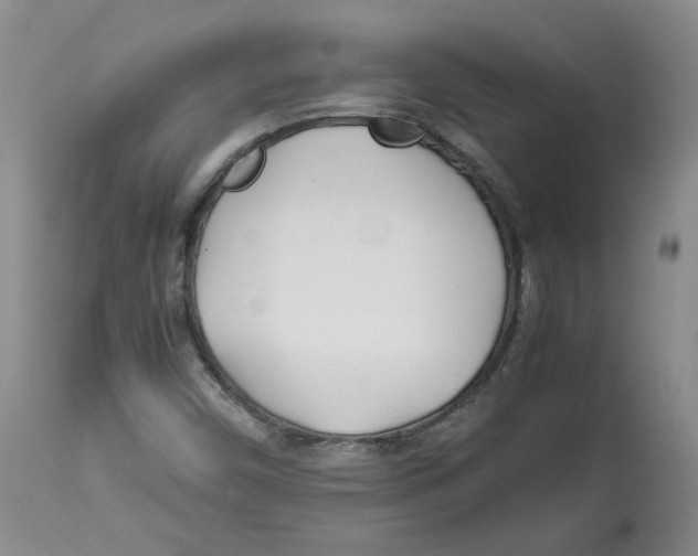 X0000113151450200910021452