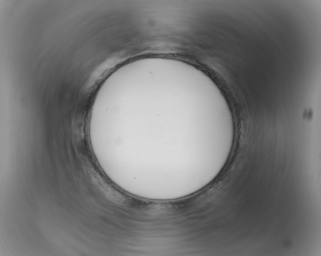 X0000113151451200910021452