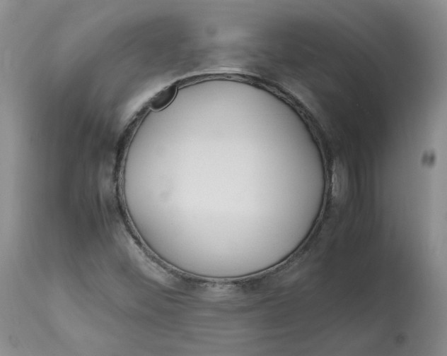 X0000113151452200910021451