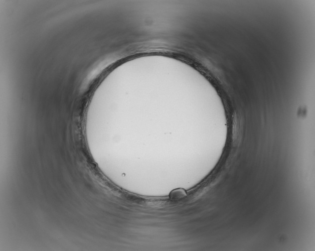 X0000113151453200910021451