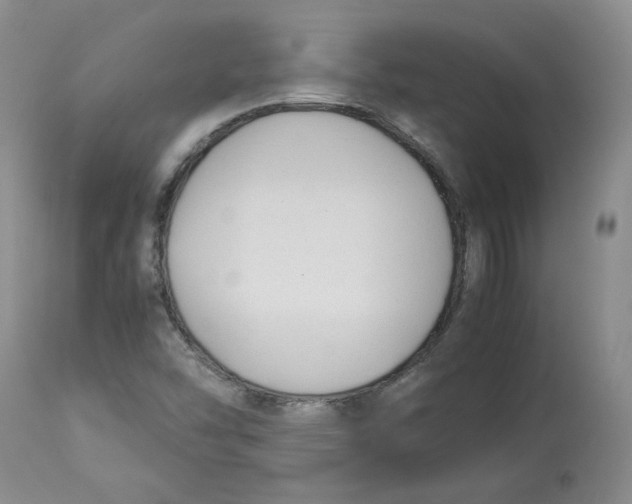 X0000113151454200910021451