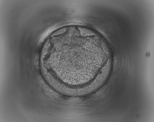 X0000113151455200910021451