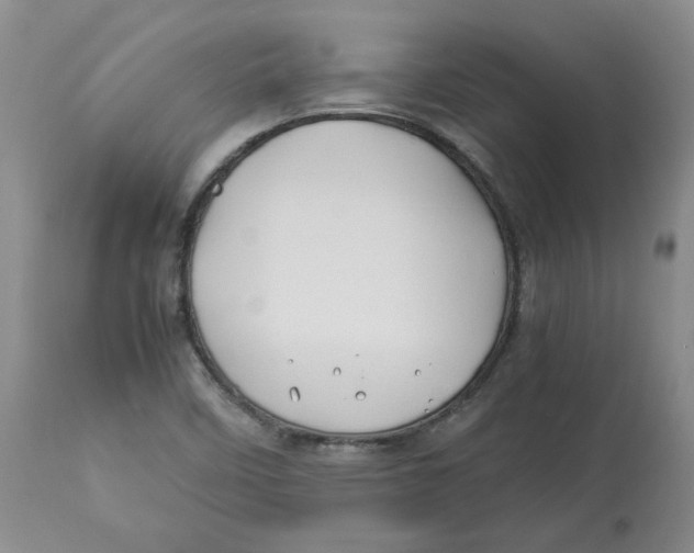 X0000113151458200910021451