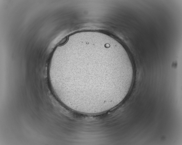 X0000113151459200910021451