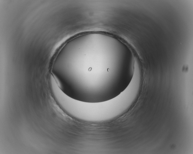 X0000113151460200910021451