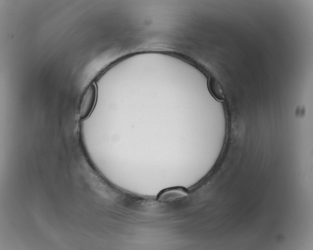 X0000113151461200910021451