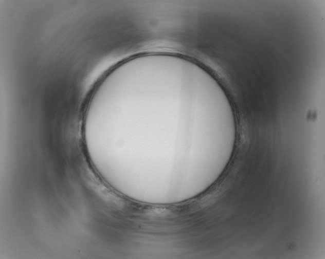 X0000113151462200910021451