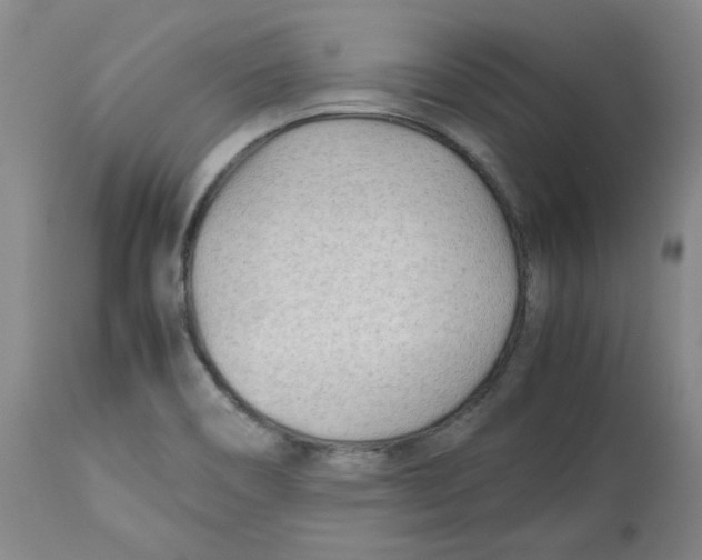 X0000113151466200910021451