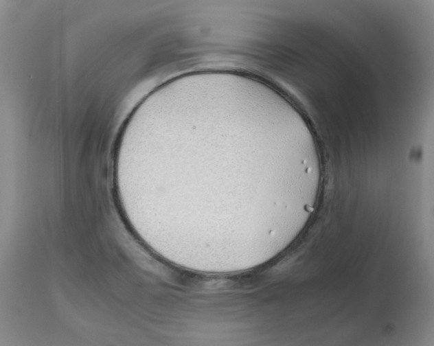 X0000113151467200910021451