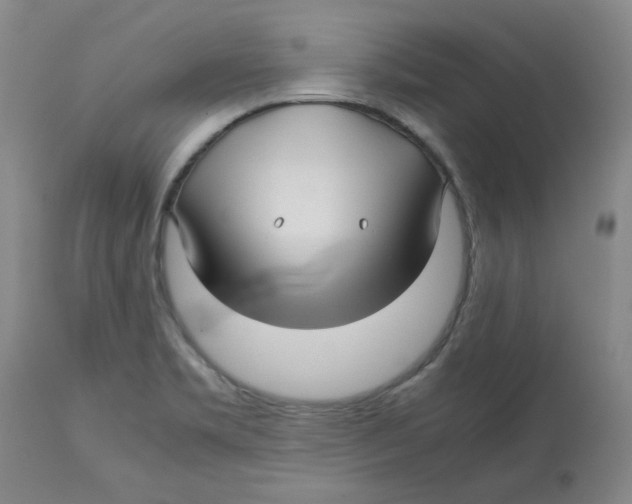 X0000113151469200910021451