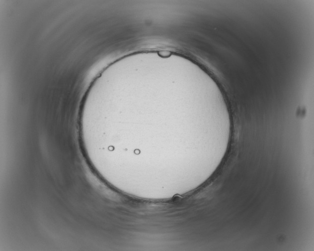 X0000113151471200910021451