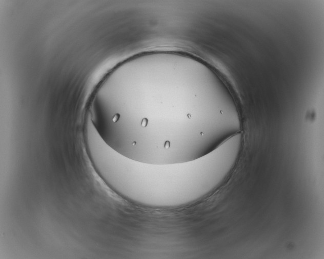 X0000113151472200910021451