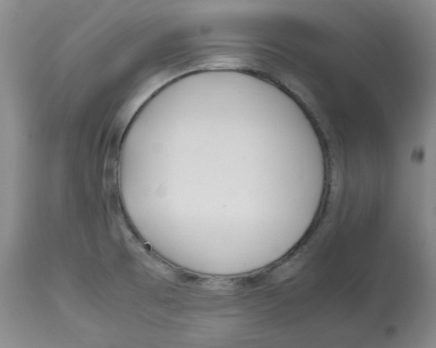 X0000113151473200910021451