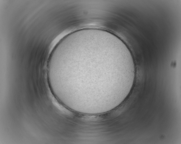 X0000113151474200910021451