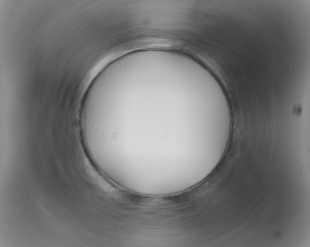 X0000113151475200910021451