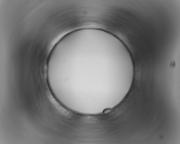 X0000113151476200910021451