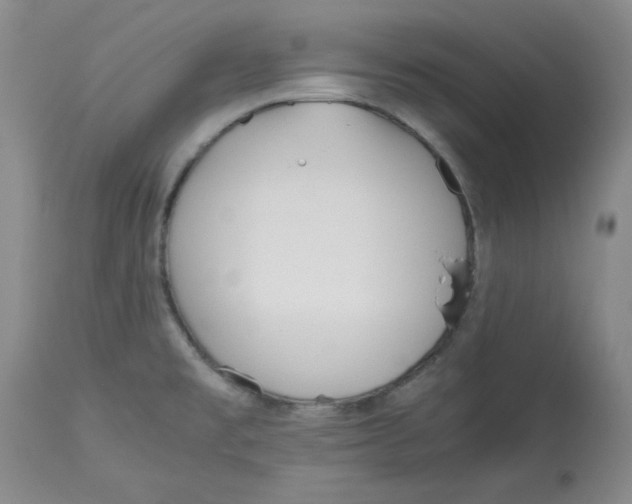 X0000113151477200910021451