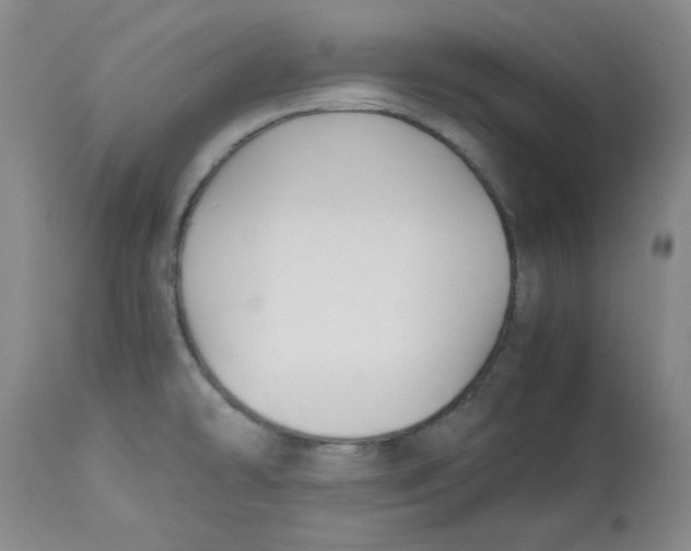 X0000113151478200910021451