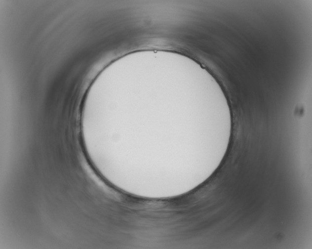 X0000113151479200910021451