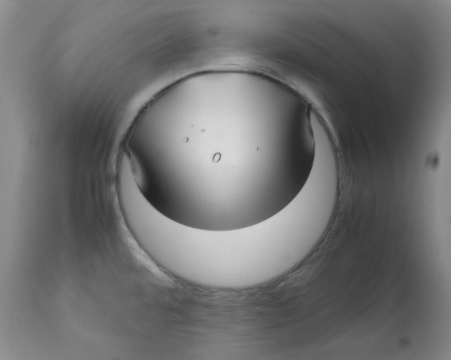 X0000113151480200910021451