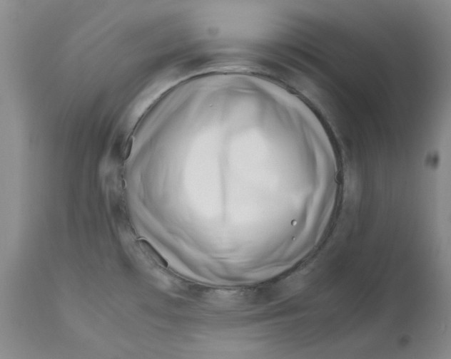 X0000113151481200910021451