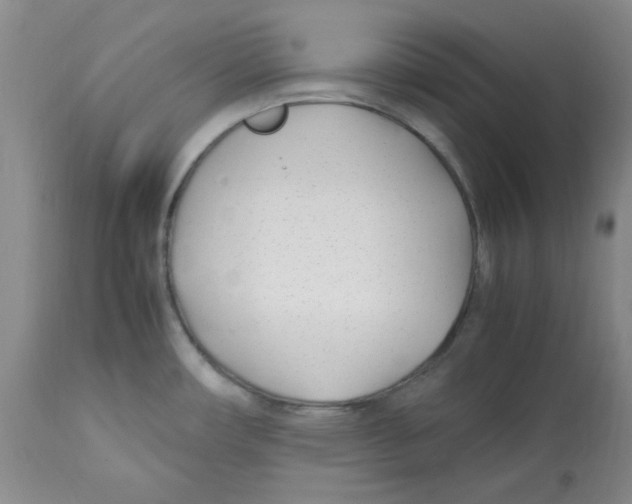 X0000113151482200910021451