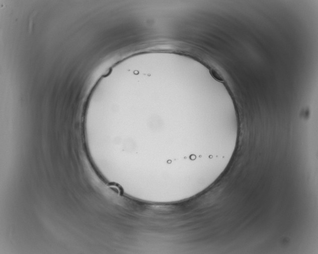 X0000113151483200910021451