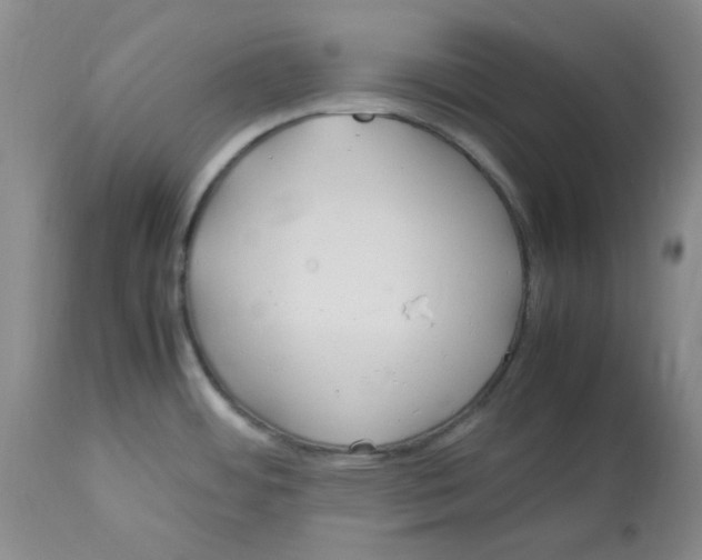 X0000113151484200910021451